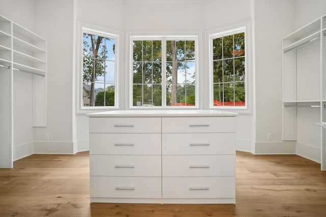 walk in closet featuring light hardwood / wood-style flooring