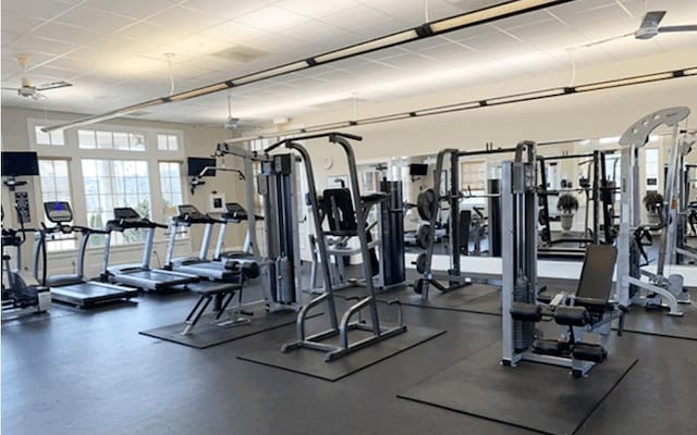 6706 Moondancer Ct, Flowery Branch, GA 30542 - view of gym