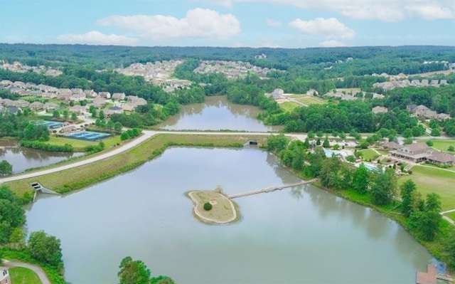 6706 Moondancer Ct, Flowery Branch, GA 30542 - view of property location featuring a large body of water