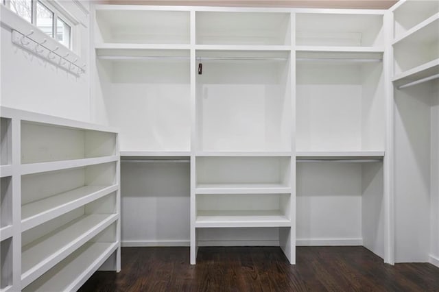 spacious closet featuring dark wood-type flooring