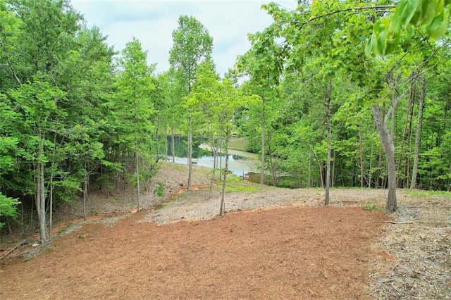 view of property's community with a water view