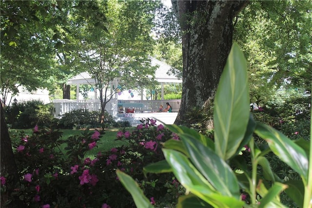 view of yard featuring a gazebo