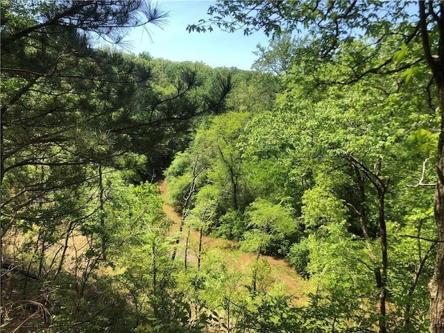 view of woods