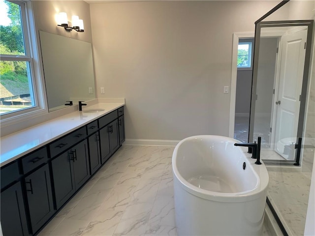 bathroom with vanity and a bathing tub