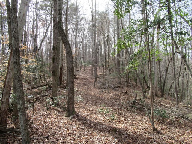 00 Long Branch Rd, Dahlonega GA, 30533 land for sale