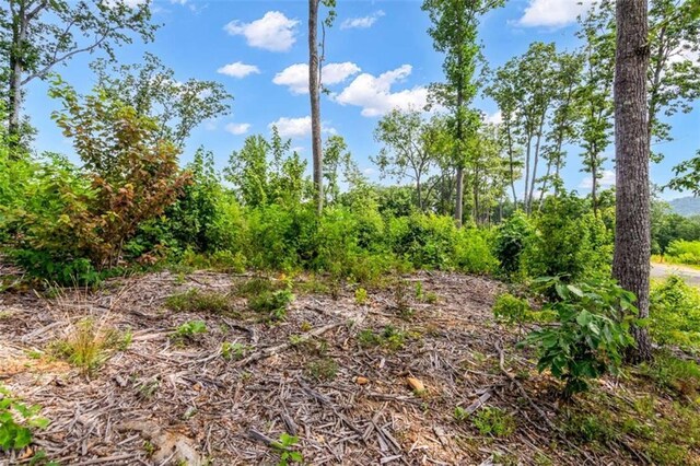 LT278 Highgrove Dr, Talking Rock, GA 30175