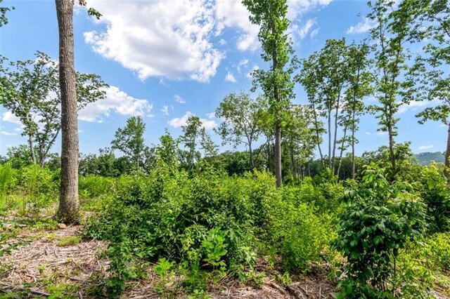 LT278 Highgrove Dr, Talking Rock, GA 30175