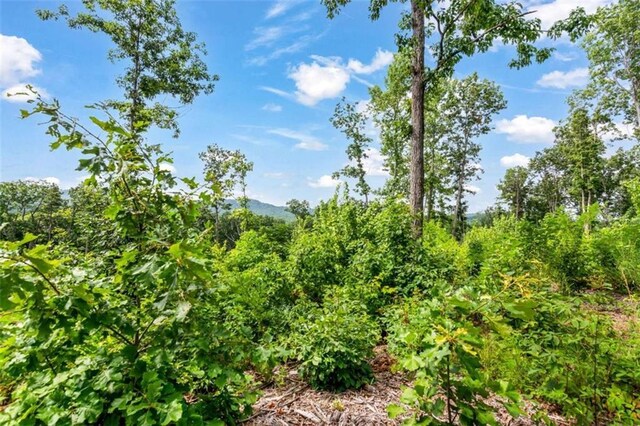 LT278 Highgrove Dr, Talking Rock, GA 30175