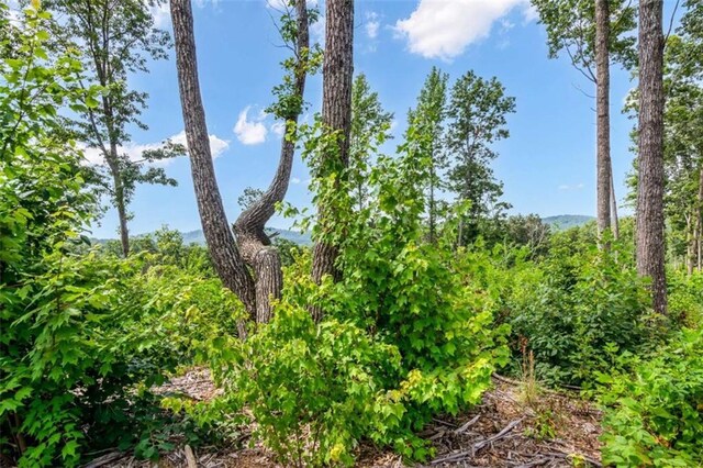 LT278 Highgrove Dr, Talking Rock, GA 30175