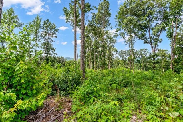 LT278 Highgrove Dr, Talking Rock, GA 30175