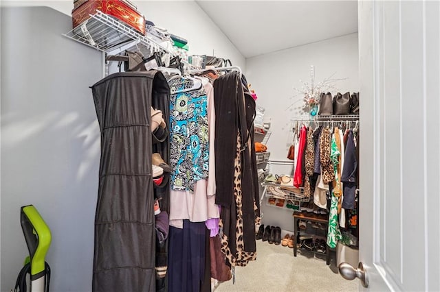 walk in closet with carpet floors