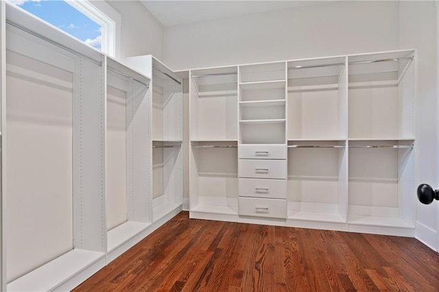 walk in closet featuring wood finished floors