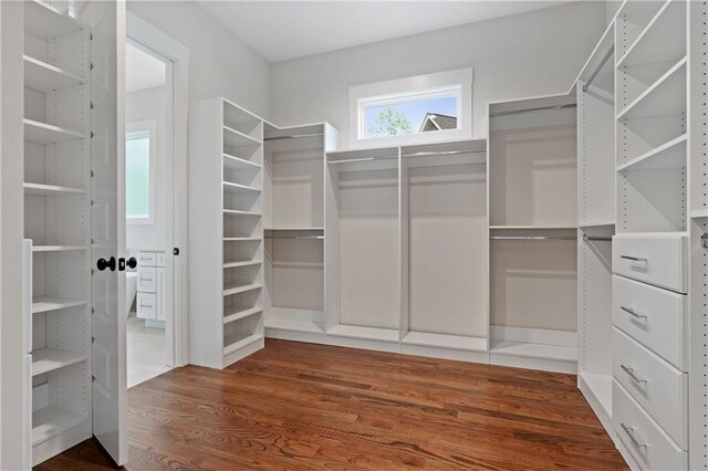 walk in closet with dark wood finished floors