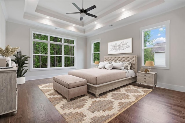 bedroom featuring a tray ceiling, multiple windows, and dark wood-style flooring