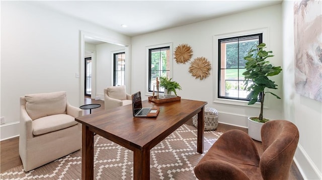 living area featuring hardwood / wood-style floors