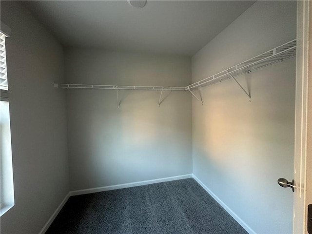 11045 Shadow Creek Ter, Hampton, GA 30228 - walk in closet featuring dark carpet