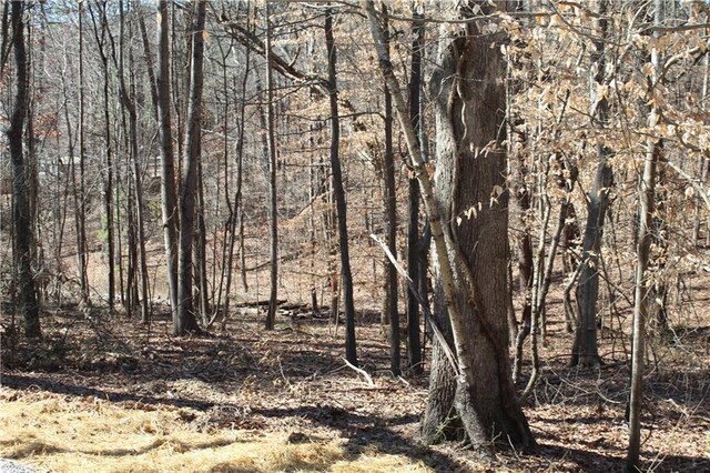 view of landscape