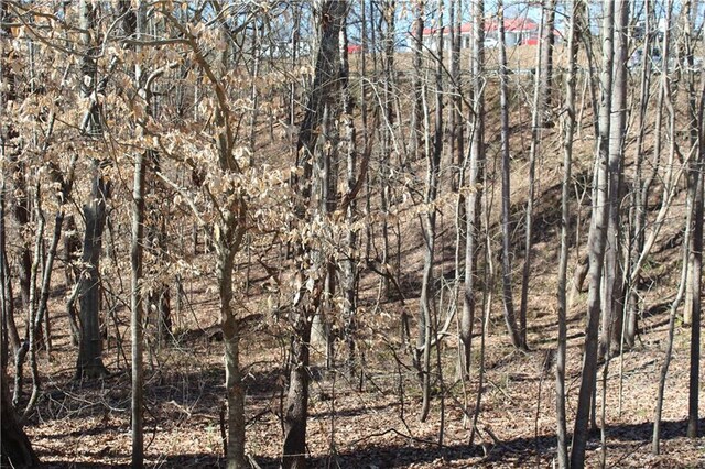 view of local wilderness