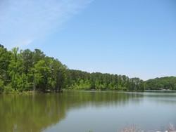 view of nature with a wooded view