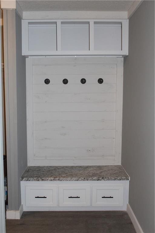 mudroom with dark hardwood / wood-style flooring