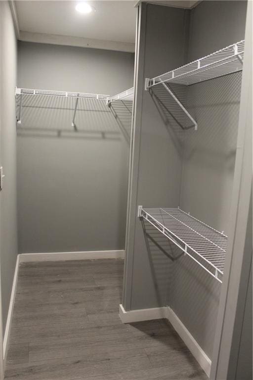 walk in closet featuring hardwood / wood-style floors