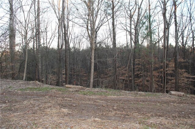 view of nature with a wooded view