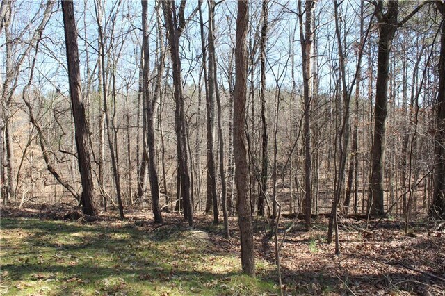 exterior space featuring a wooded view