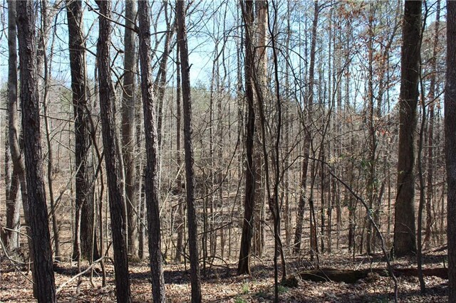 view of landscape with a forest view