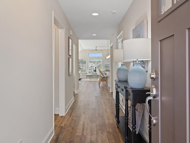 hallway with wood-type flooring