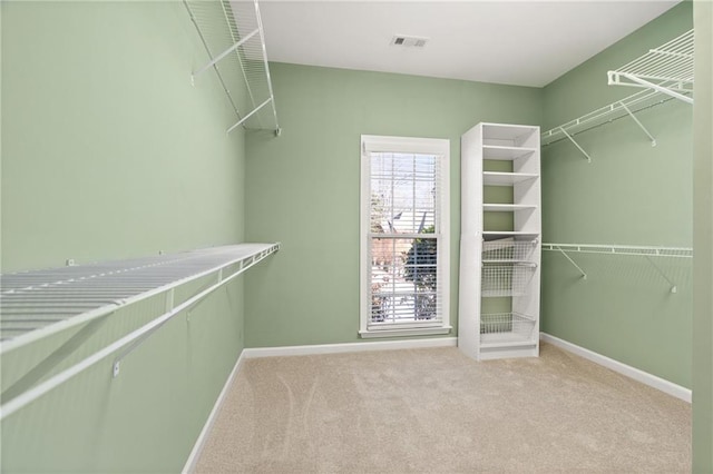 spacious closet featuring carpet floors