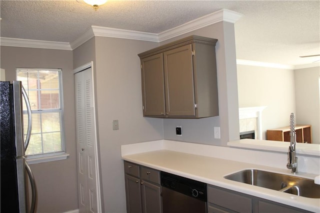 kitchen featuring stainless steel appliances, a sink, light countertops, and crown molding