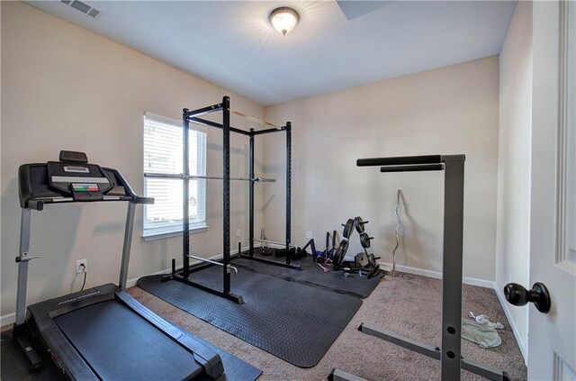 walk in closet with carpet floors