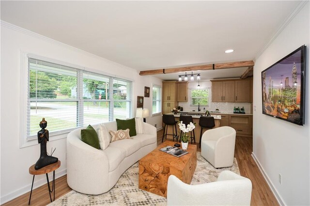 living room with a wealth of natural light, crown molding, and light wood-type flooring