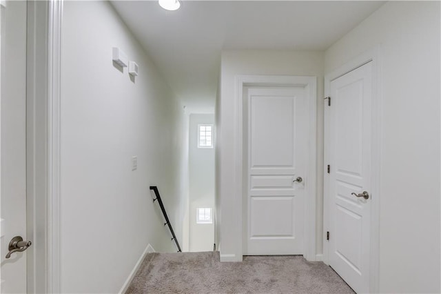 7653 Legacy Rd, Flowery Branch, GA 30542 - hallway featuring an upstairs landing, light carpet, and baseboards