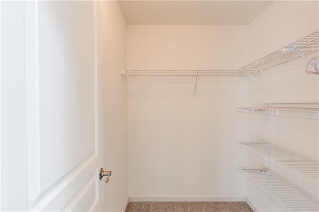 7653 Legacy Rd, Flowery Branch, GA 30542 - walk in closet featuring light carpet