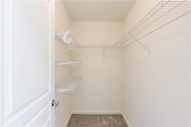 7653 Legacy Rd, Flowery Branch, GA 30542 - walk in closet featuring carpet floors