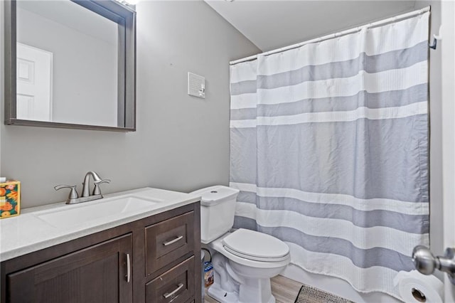244 Bryn Brooke Dr, Dawsonville, GA 30534 - full bath featuring toilet, vanity, wood finished floors, and a shower with shower curtain