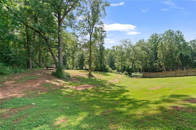 244 Bryn Brooke Dr, Dawsonville, GA 30534 - view of yard