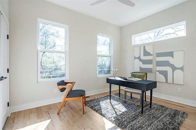 office with ceiling fan, baseboards, and light wood-style flooring