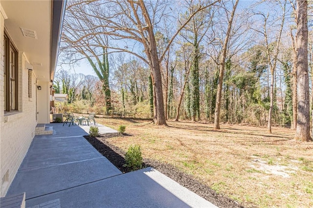 view of yard featuring a patio area