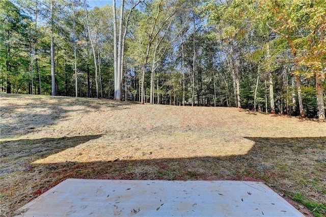 view of yard with a view of trees and a patio