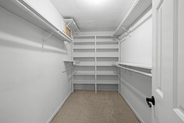 spacious closet featuring light colored carpet