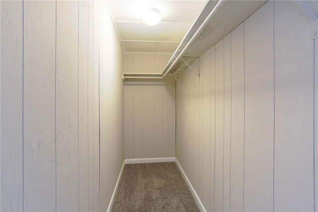 walk in closet featuring carpet flooring