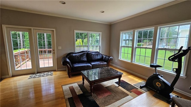 2819 Heritage Oaks Cir, Dacula, GA 30019 - living area featuring light wood-style flooring, ornamental molding, and recessed lighting