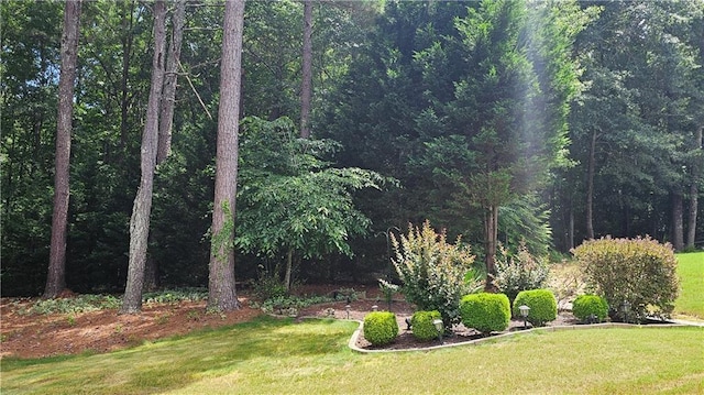 2819 Heritage Oaks Cir, Dacula, GA 30019 - view of grassy yard featuring a wooded view