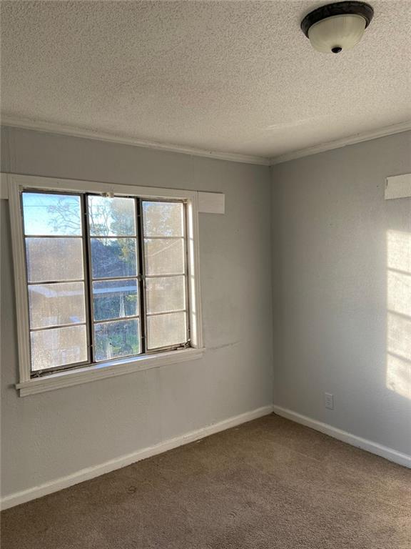 carpeted spare room with plenty of natural light and a textured ceiling