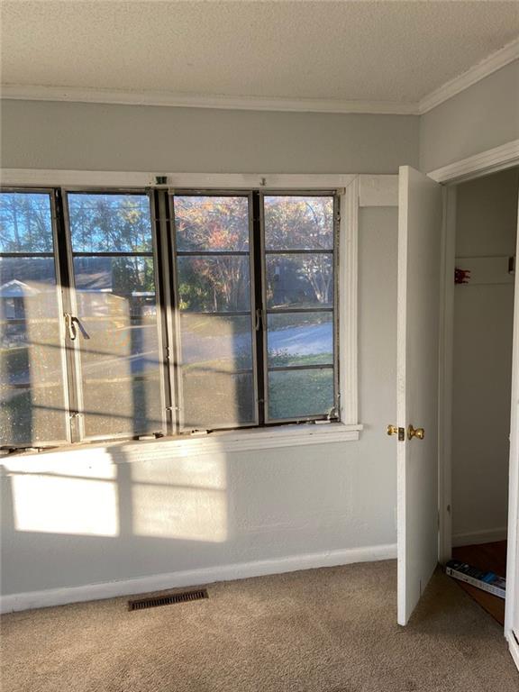 room details featuring carpet, ornamental molding, and a textured ceiling