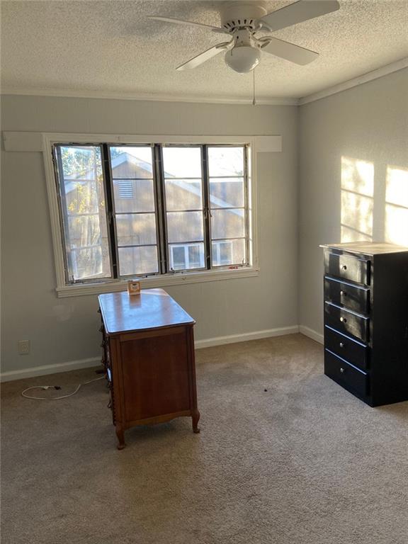 carpeted office with ceiling fan and a textured ceiling