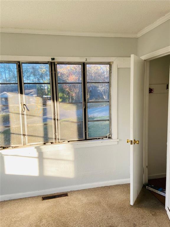 details with carpet flooring, crown molding, and a textured ceiling