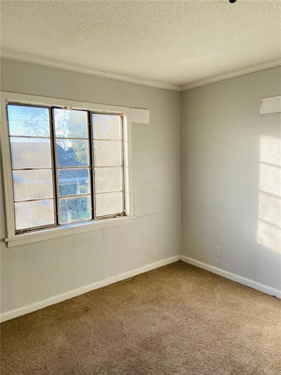 empty room featuring crown molding, carpet floors, and a textured ceiling